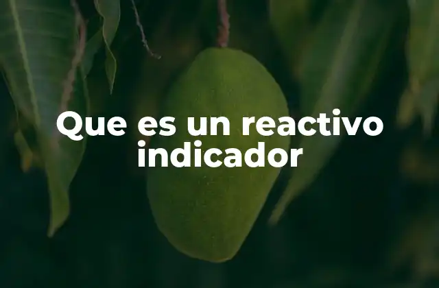 Que es un Reactivo Indicador