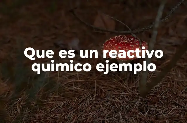 Que es un Reactivo Quimico Ejemplo