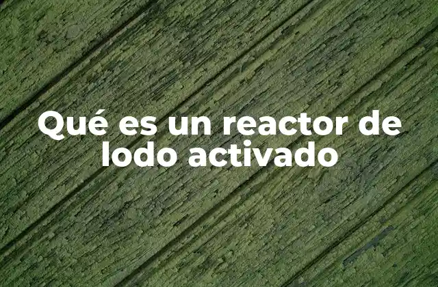 Qué es un Reactor de Lodo Activado