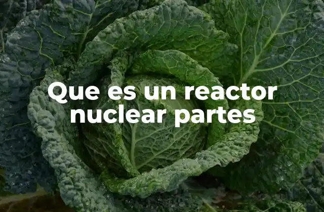Que es un Reactor Nuclear Partes