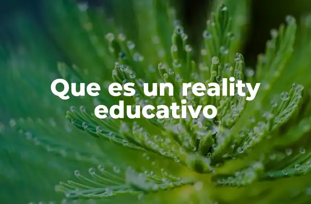 Que es un Reality Educativo
