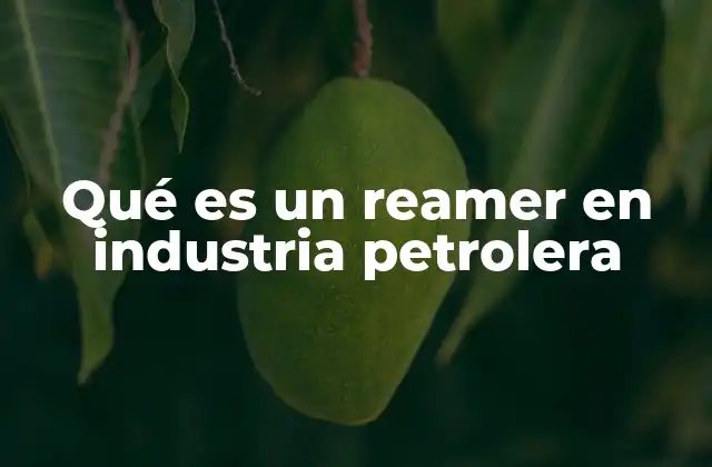 Qué es un Reamer en Industria Petrolera