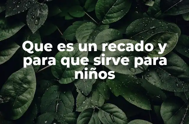 Que es un Recado y para que Sirve para Niños