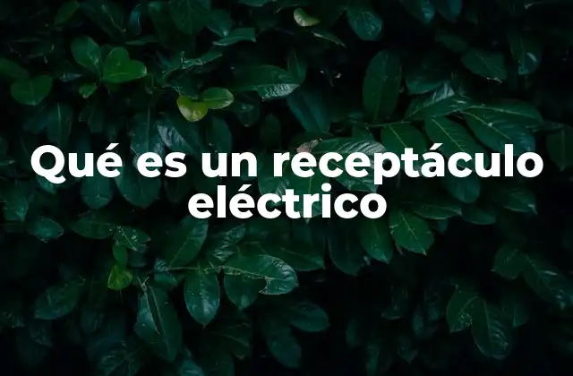La importancia de los puntos de conexión eléctricos en el hogar