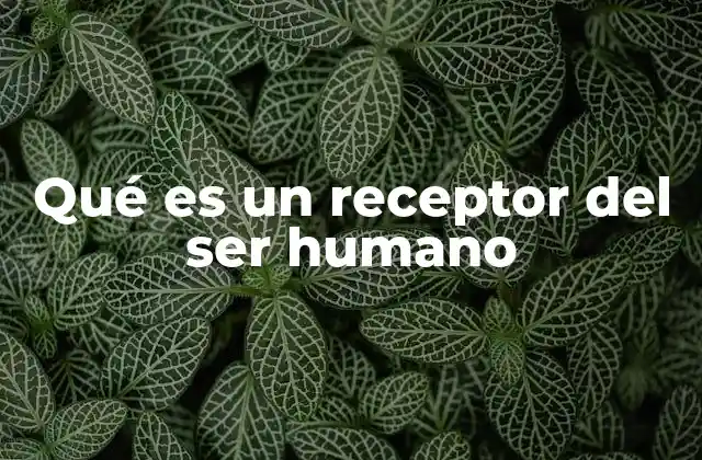 Qué es un Receptor Del Ser Humano