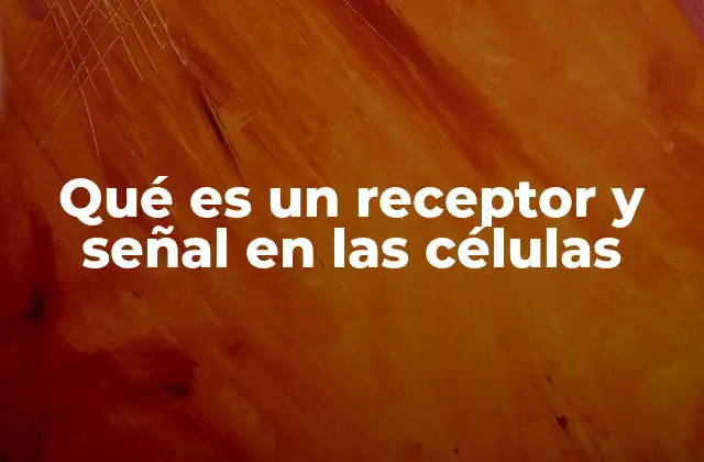 Qué es un Receptor y Señal en las Células