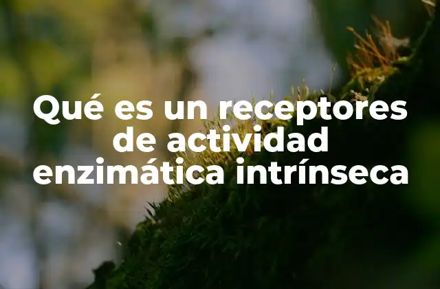 Qué es un Receptores de Actividad Enzimática Intrínseca
