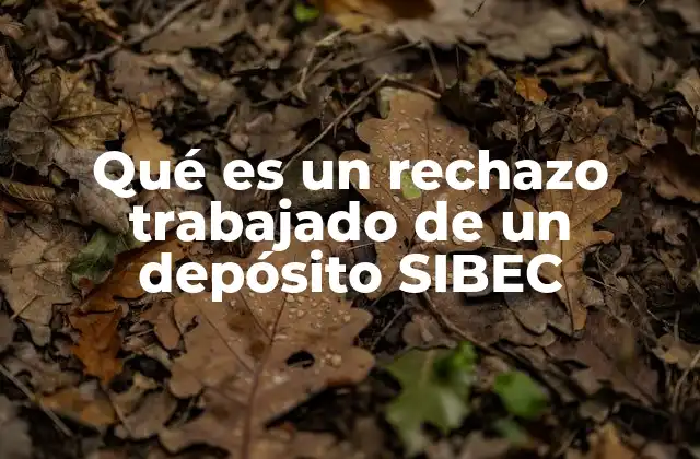 Qué es un Rechazo Trabajado de un Depósito Sibec
