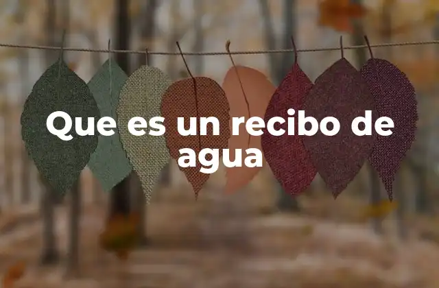 Que es un Recibo de Agua