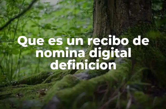 Que es un Recibo de Nomina Digital Definicion
