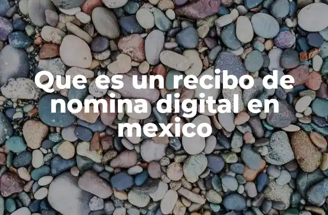 Que es un Recibo de Nomina Digital en Mexico
