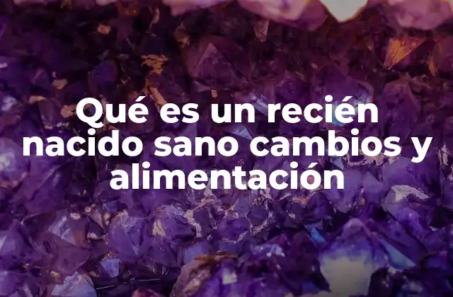 Qué es un Recién Nacido Sano Cambios y Alimentación