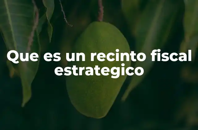 Que es un Recinto Fiscal Estrategico