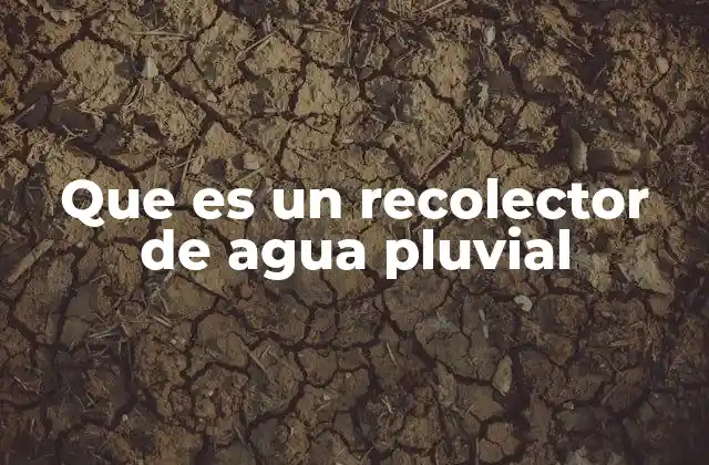 Que es un Recolector de Agua Pluvial