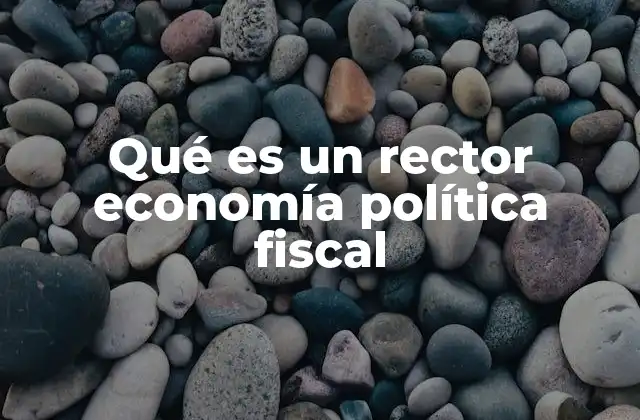 Qué es un Rector Economía Política Fiscal