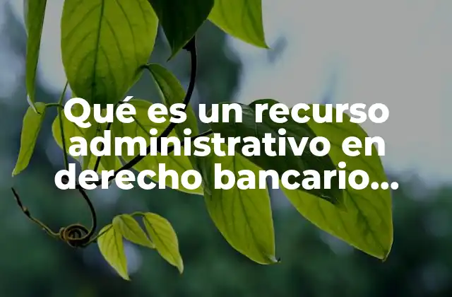 Qué es un Recurso Administrativo en Derecho Bancario Bursátil