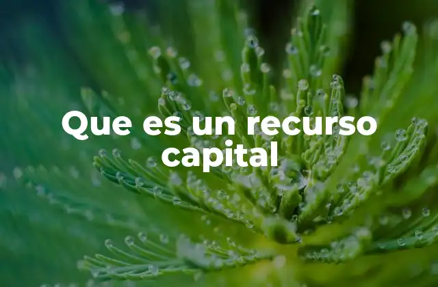 Importancia del recurso capital en la economía