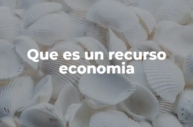Que es un Recurso Economia