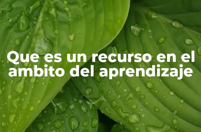 Que es un Recurso en el Ambito Del Aprendizaje