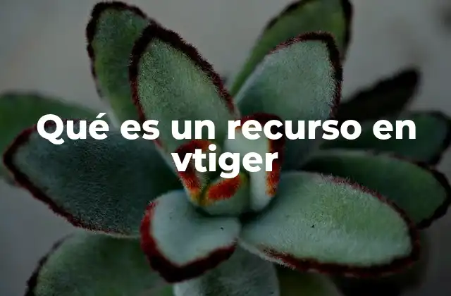 Qué es un Recurso en Vtiger 2 La gestión eficiente de recursos en vtiger
