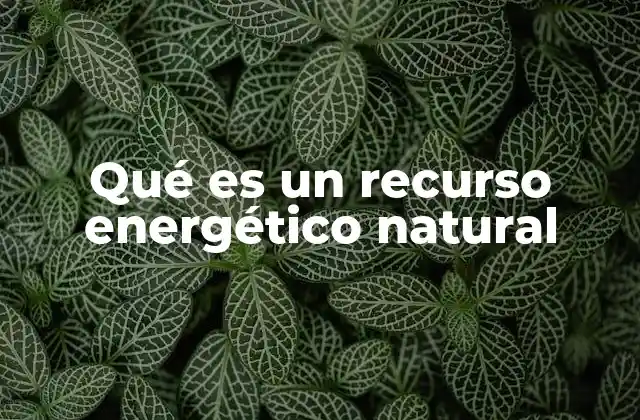 Fuentes de energía que provienen directamente de la naturaleza