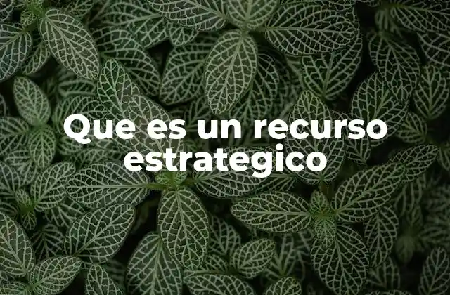 Que es un Recurso Estrategico 2 El rol de los recursos estratégicos en la competitividad empresarial