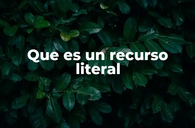 Que es un Recurso Literal