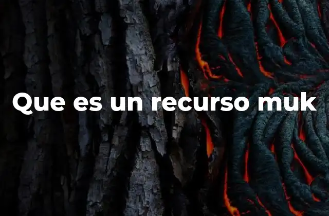 Que es un Recurso Muk
