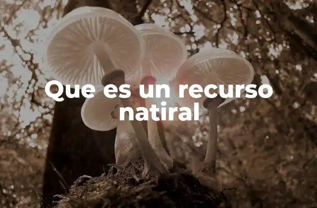 Que es un Recurso Natiral 2 La importancia de los recursos en la sociedad moderna