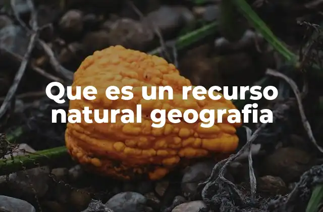 Que es un Recurso Natural Geografia