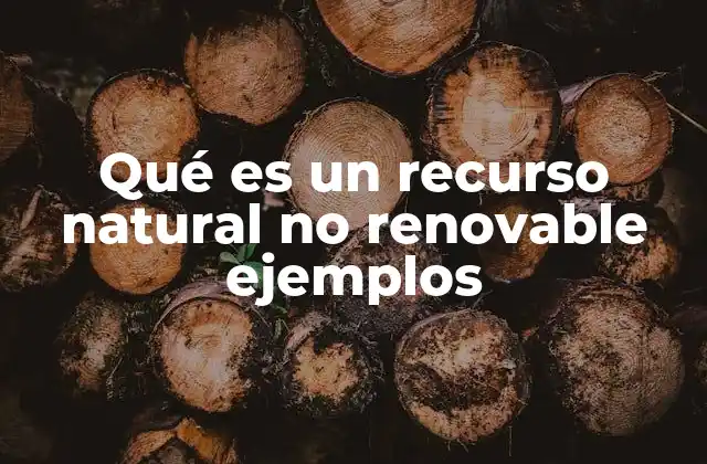 Qué es un Recurso Natural No Renovable Ejemplos