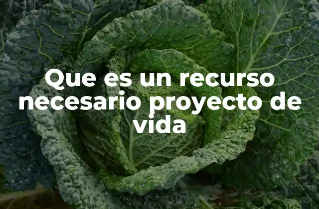 Que es un Recurso Necesario Proyecto de Vida