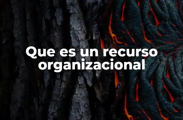 Que es un Recurso Organizacional