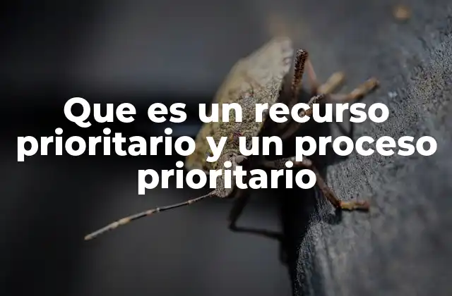 Que es un Recurso Prioritario y un Proceso Prioritario