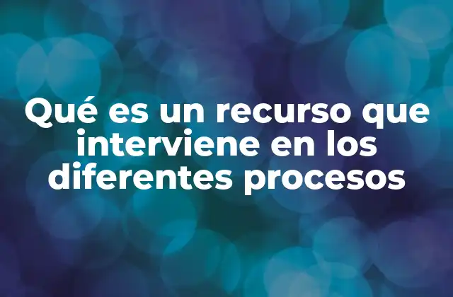 Qué es un Recurso que Interviene en los Diferentes Procesos