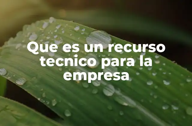 Que es un Recurso Tecnico para la Empresa