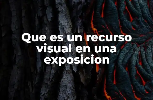 Que es un Recurso Visual en una Exposicion