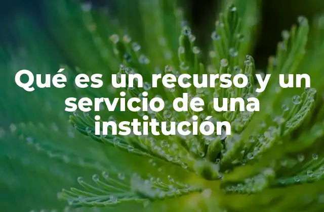Qué es un Recurso y un Servicio de una Institución