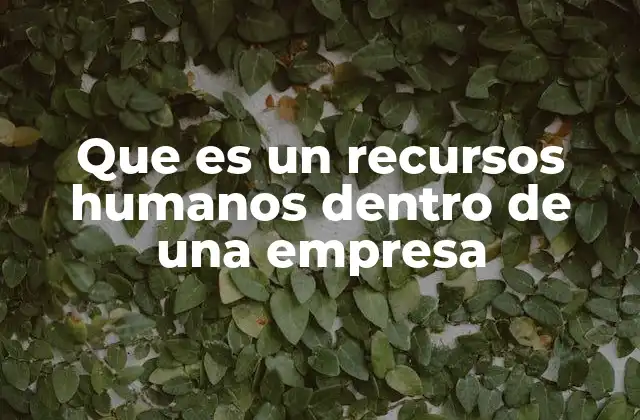 Que es un Recursos Humanos Dentro de una Empresa