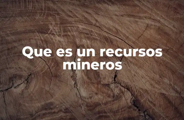 Que es un Recursos Mineros