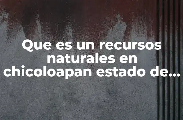 Que es un Recursos Naturales en Chicoloapan Estado de Mexico