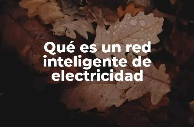 Qué es un Red Inteligente de Electricidad