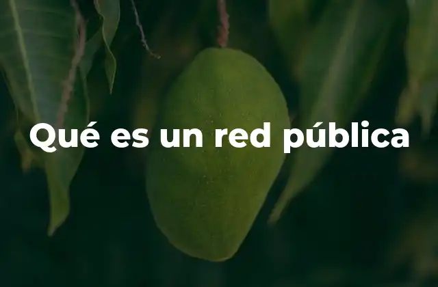 Qué es un Red Pública