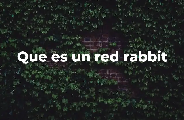 Que es un Red Rabbit 2 El red rabbit como herramienta de ciberseguridad