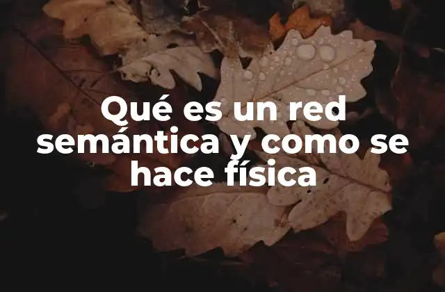 Modelos para representar relaciones entre conceptos