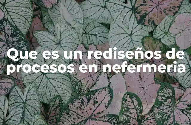 Que es un Rediseños de Procesos en Nefermeria