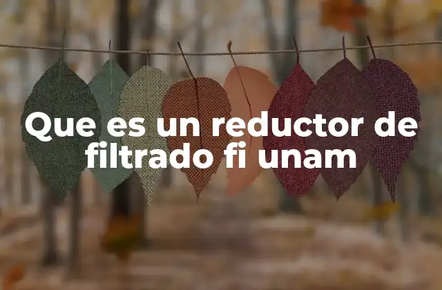 Que es un Reductor de Filtrado Fi Unam