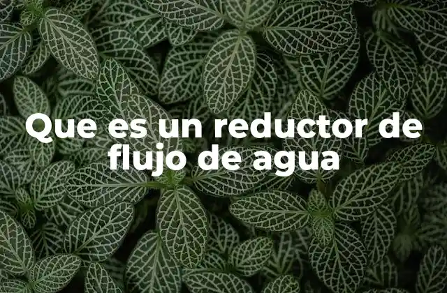 Que es un Reductor de Flujo de Agua