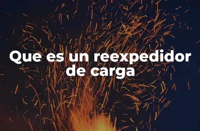 Que es un Reexpedidor de Carga