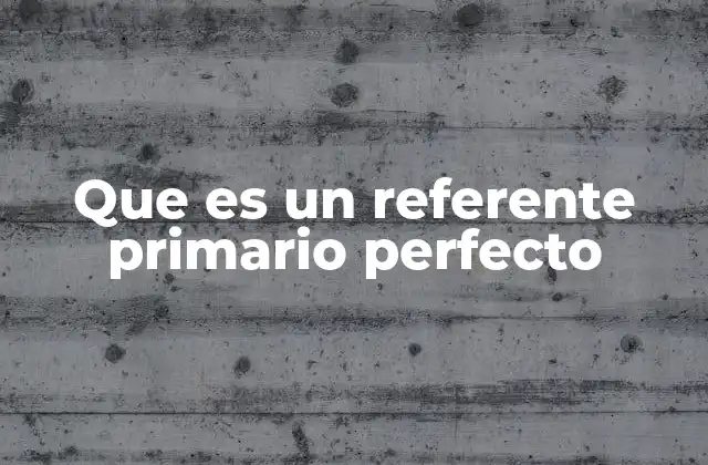 Que es un Referente Primario Perfecto
